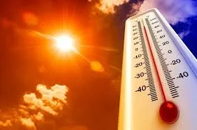 Temperaturi între 38 și 40 de grade, în Teleorman