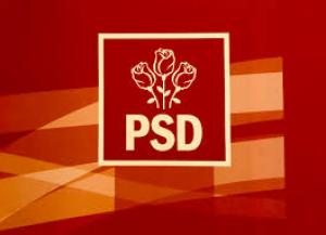 Congresul Partidului Social Democrat va fi duminică, la Palatul Parlamentului