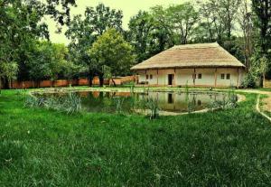 Galați: &bdquo;Ziua Iei&rdquo; aduce meșteri populari și artiști folclorici la Muzeul Satului din G&acirc;rboavele