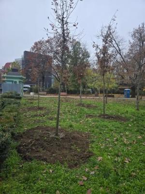 Toamna aceasta aduce mai mult verde în Parcul Regele Mihai I!
