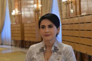 Viorica Sandu, despre programul „Sprijin pentru România”: prioritatea PSD rămâne combaterea scumpirilor