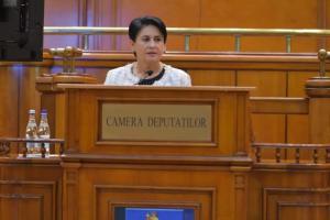 Deputatul Viorica Sandu: Ajutor de stat pentru compensarea creșterii prețului la combustibil