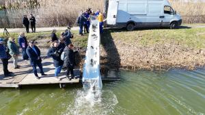 Costel Fotea: Balta Zătun va fi deschisă pescarilor după 1 aprilie, după popularea cu două tone de crap