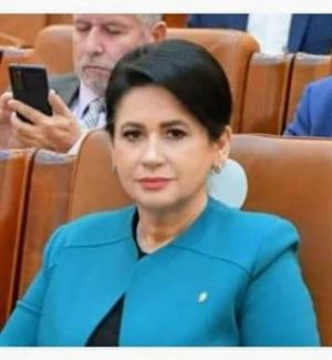 Deputatul Viorica Sandu: Austria a ales să fie pe contrasens cu Uniunea Europeană refuzând admiterea României în Schengen