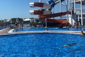 Piscine periculoase descoperite de ANPC în Delta Dunării