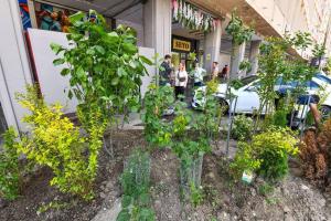 Sala Palatului, de la spațiu ne&icirc;ngrijit, la zonă plină de verde