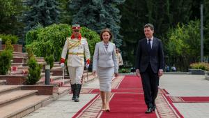 Mesaj pentru diaspora Republicii Moldova: 23 de secții de vot pentru moldoveni în România