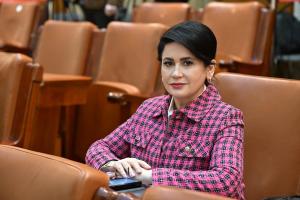 Deputatul Viorica Sandu: Taxa de solidaritate are drept scop scăderea impozitării muncii