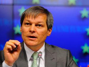 12 ciolos