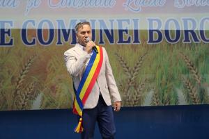 Zilele Comunei Borcea