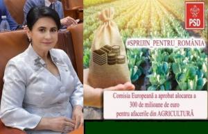 Deputatul Viorica Sandu: Comisia Europeană a aprobat alocarea a 300 de milioane de euro pentru afacerile din agricultură