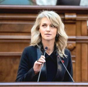 Alina Gorghiu: o instanța cipriotă a decis predarea lui Steinmetz Benyamin autorităților din România