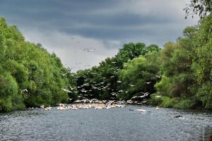 Atenție pescari. Au fost introduse restricții la pescuit în Delta Dunării