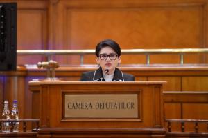Deputatul Viorica Sandu: Instrumente moderne pentru sprijinirea capitalului local și atragerea de investiții &icirc;n Galați