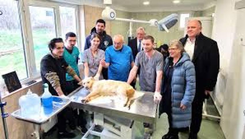 Proiect în premieră: „Căsuța Veterinarului”