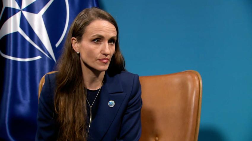Oana Țoiu va prezenta în Consiliul de Securitate ONU riscurile generate de încălcările spațiului aerian al României