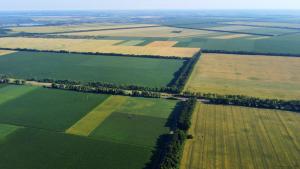 Cadastru. Peste 2,2 milioane de documente online în 2025, prin Myeterra și ePay