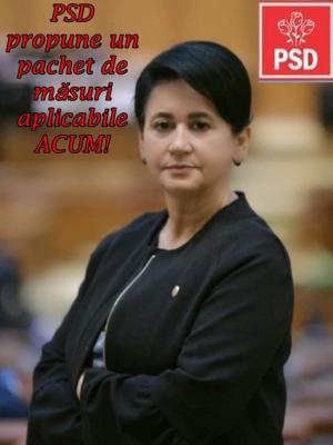 Deputatul Viorica Sandu, despre Pachetul „Sprijin pentru România”: măsuri sociale și economice propuse de PSD pentru combaterea creșterii prețurilor și stimularea economiei