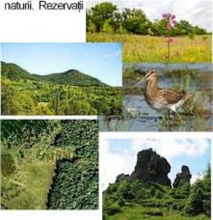 Se reglementează administrarea în parteneriat a ariilor naturale protejate din Buzău