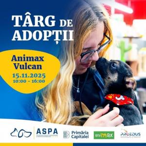 Târg de noi adopții de căței în București
