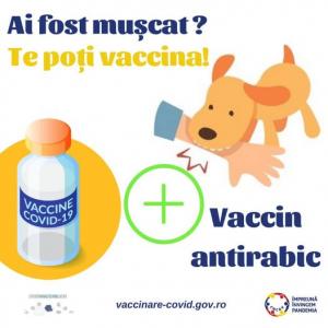 Ai fost mușcat? Te poți vaccina simultan împotriva COVID-19 și împotriva rabiei