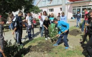 O investiție serioasă pentru susținerea agriculturii românești poate începe cu profesionalizarea forței de muncă