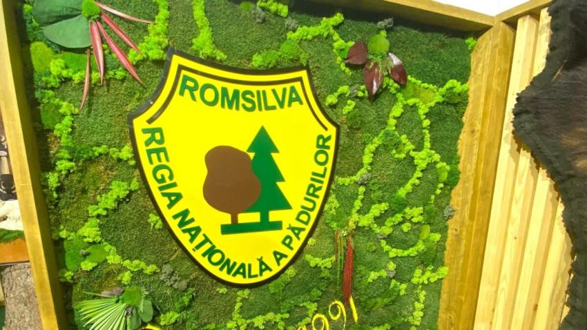 O instanță a anulat o prin care se retrocedau 43.227 de hectare de păduri în Bacău