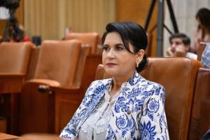 Deputatul Viorica Sandu: PSD a realizat cei mai mulți kilometri de autostrăzi și drumuri de mare viteză comparativ cu toate guvernările anterioare