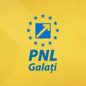 PNL Galați cere scoaterea UDMR de la guvernare