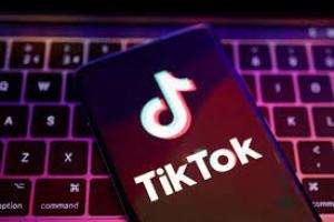 TikTok ar putea fi interzis în instituţiile publice din România