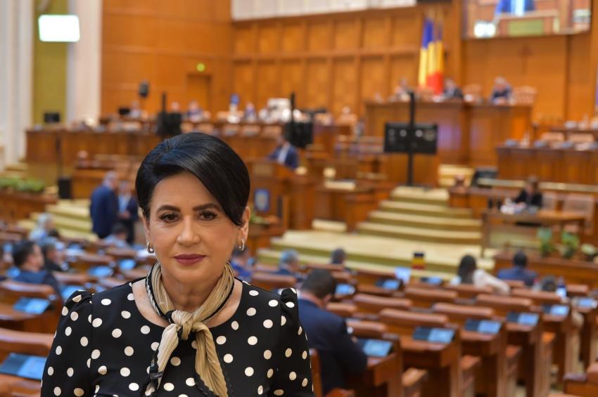 Dezbateri intense în Parlament: Deputatul Viorica Sandu vorbește despre prioritățile bugetului național
