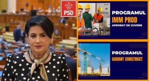 Deputatul Viorica Sandu: Implementarea măsurilor inițiate și susținute de PSD in programul „Sprijin pentru România” continuă